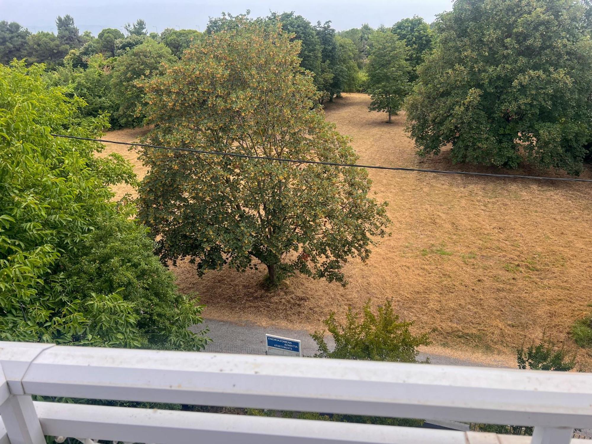Prado Apartment Hotel Limín Litochórou Pokój zdjęcie